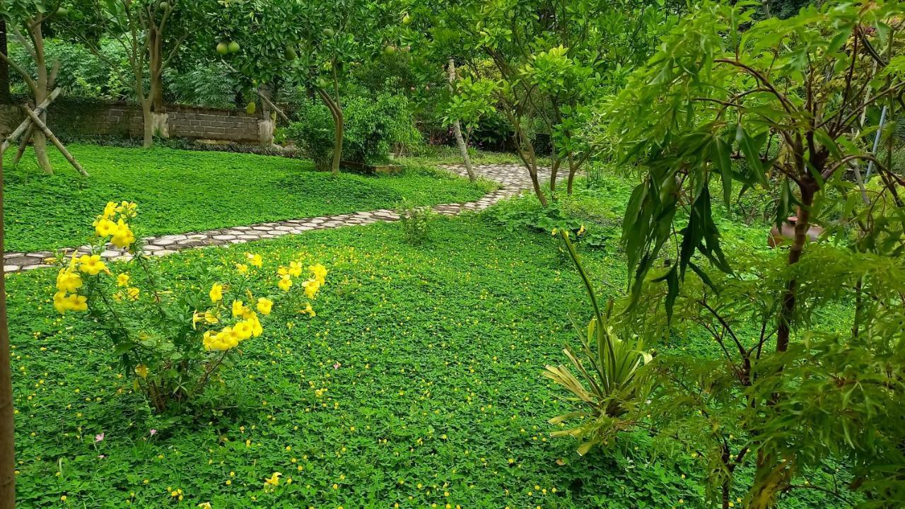 Yen Binh *
